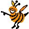 bee pointing