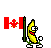 banana waving a flag