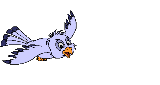 bird